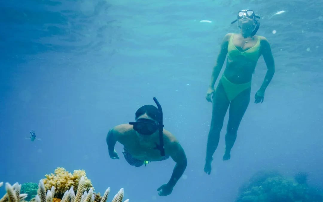 Ride and Slide: Half-Day Snorkelling Cruise with Hotel Transfers Image 9