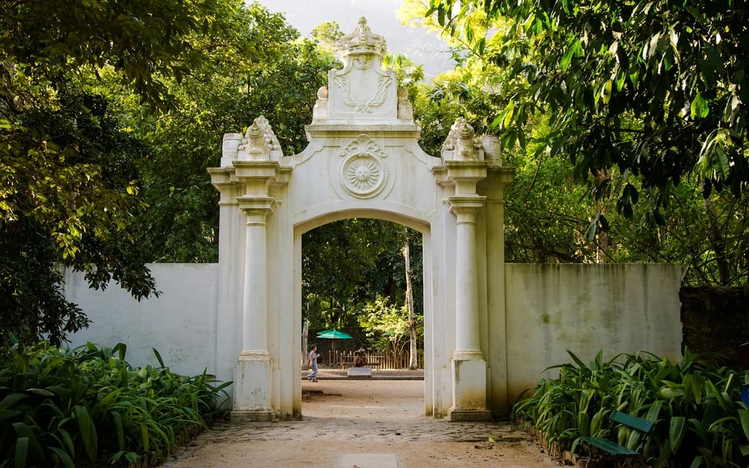 Rio de Janeiro Botanical Garden and Parque Lage Guided Tour with Professional Photos Image 5