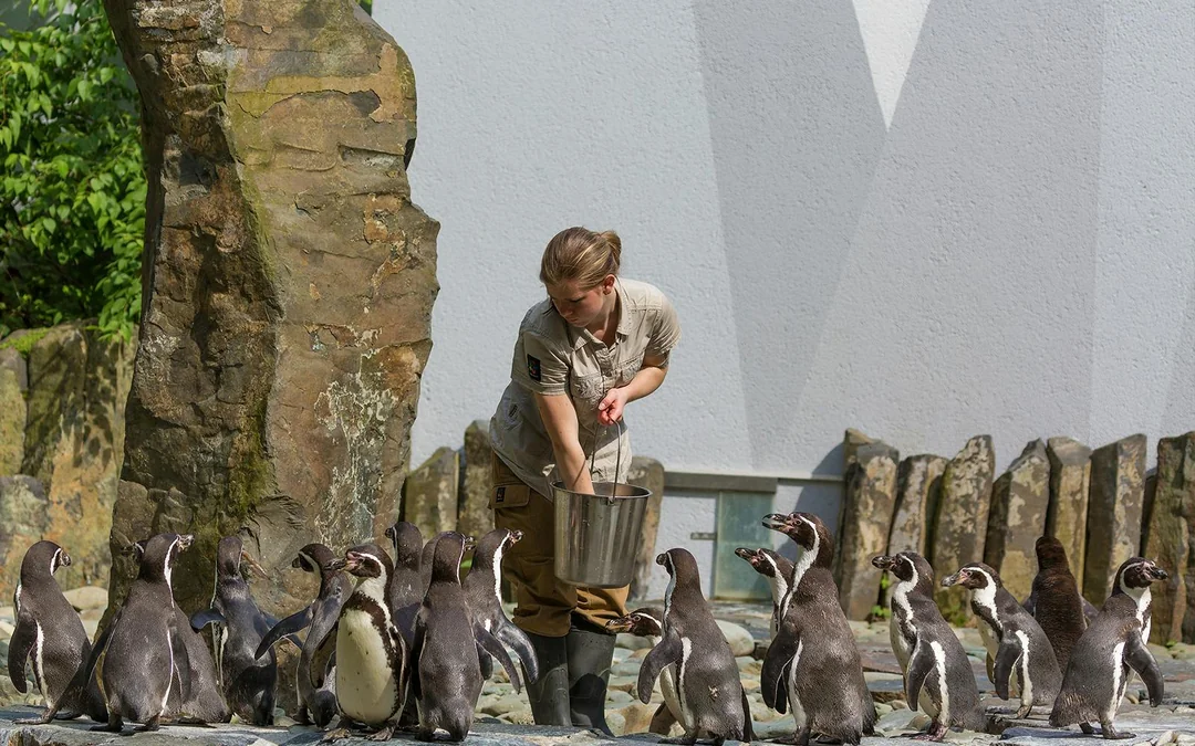 River Cruise to the Prague Zoo & Entrance Ticket Image 4