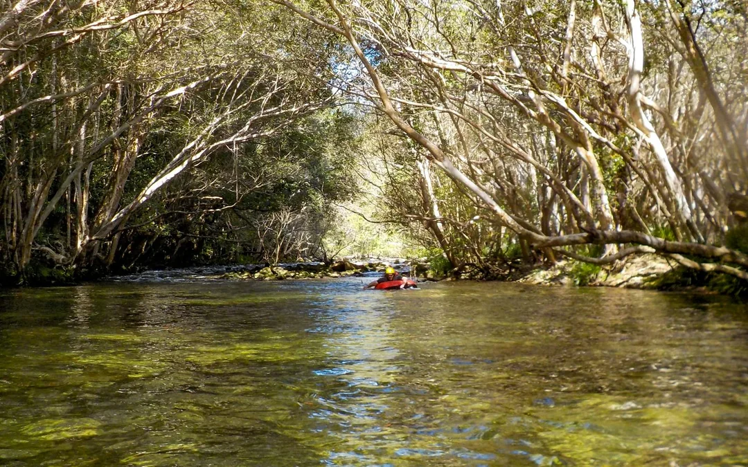 River Tubing Cairns: Half Day Tour Image 6