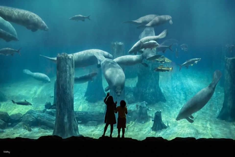 River Wonders Tickets | Mandai Wildlife Reserve, Singapore
