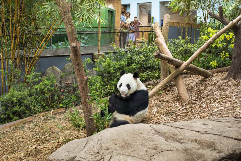 River Wonders Tickets | Mandai Wildlife Reserve, Singapore