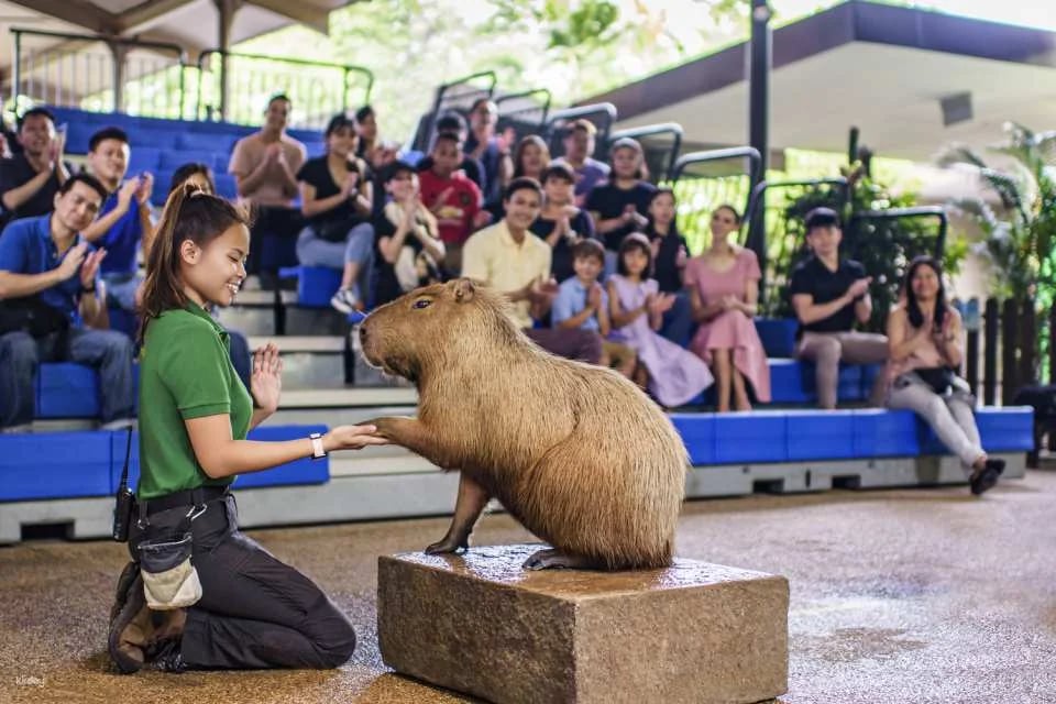 River Wonders Tickets | Mandai Wildlife Reserve, Singapore
