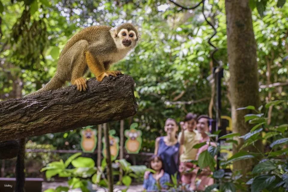 River Wonders Tickets | Mandai Wildlife Reserve, Singapore