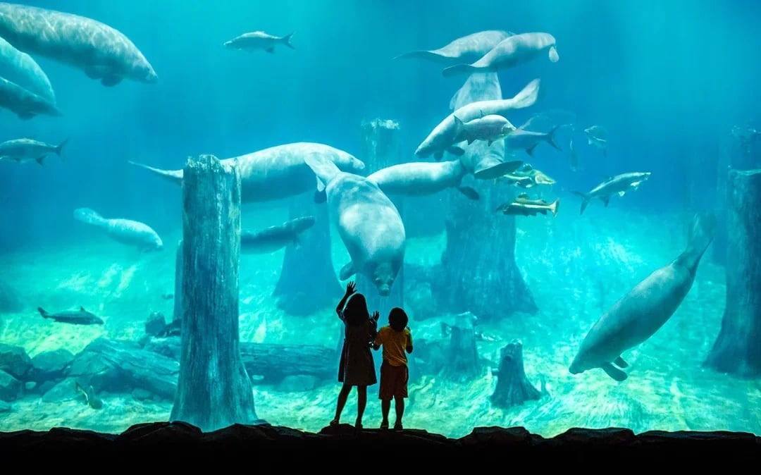River Wonders Tickets Image 6