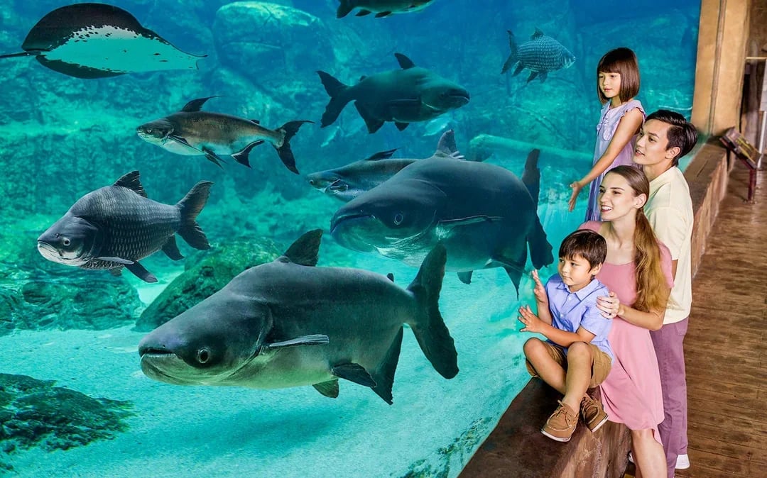 River Wonders Tickets Image 7