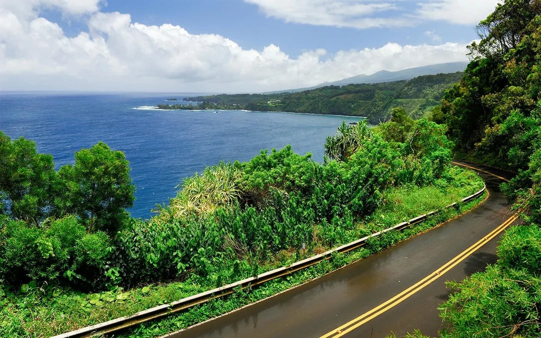 Road to Hana Tour with Farm-to-Table Lunch Image 2