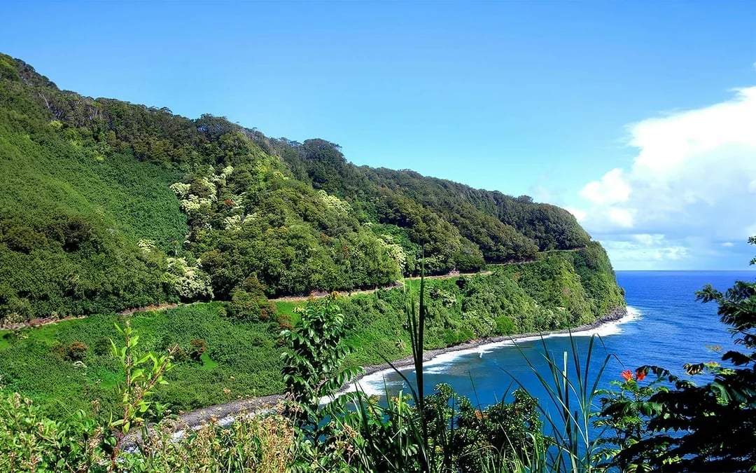 Road to Hana Tour with Farm-to-Table Lunch Image 4