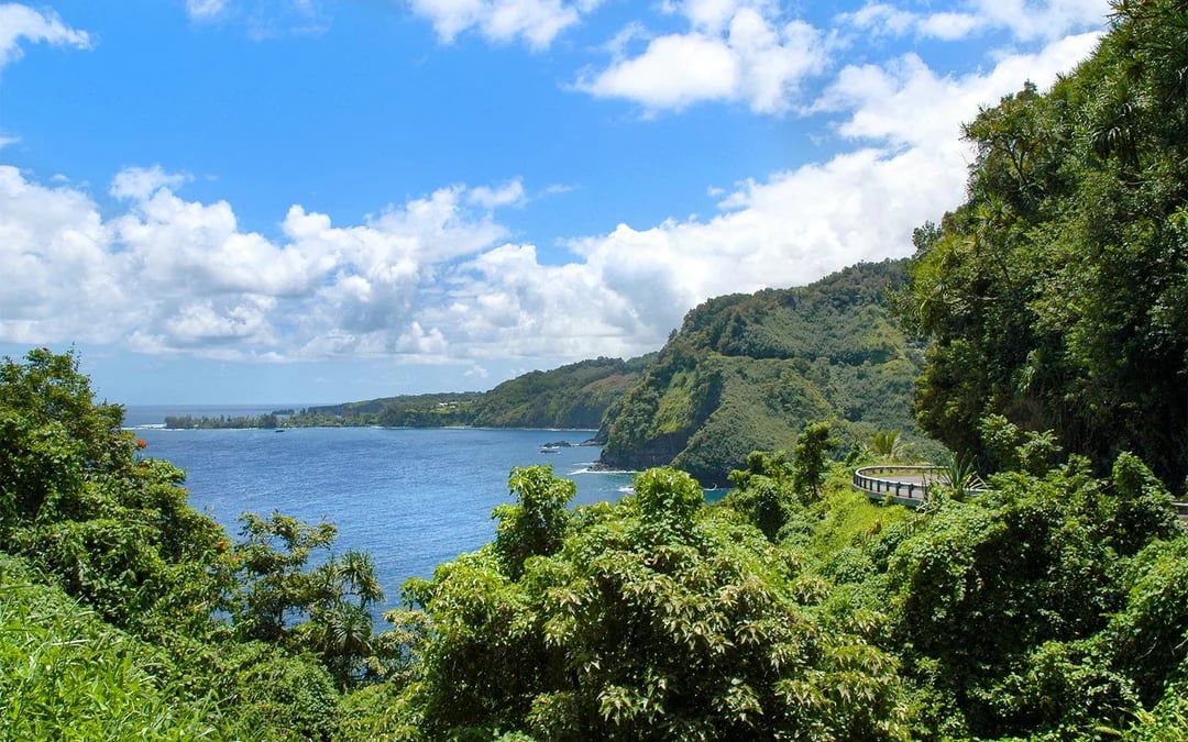 Road to Hana Tour with Farm-to-Table Lunch Image 6