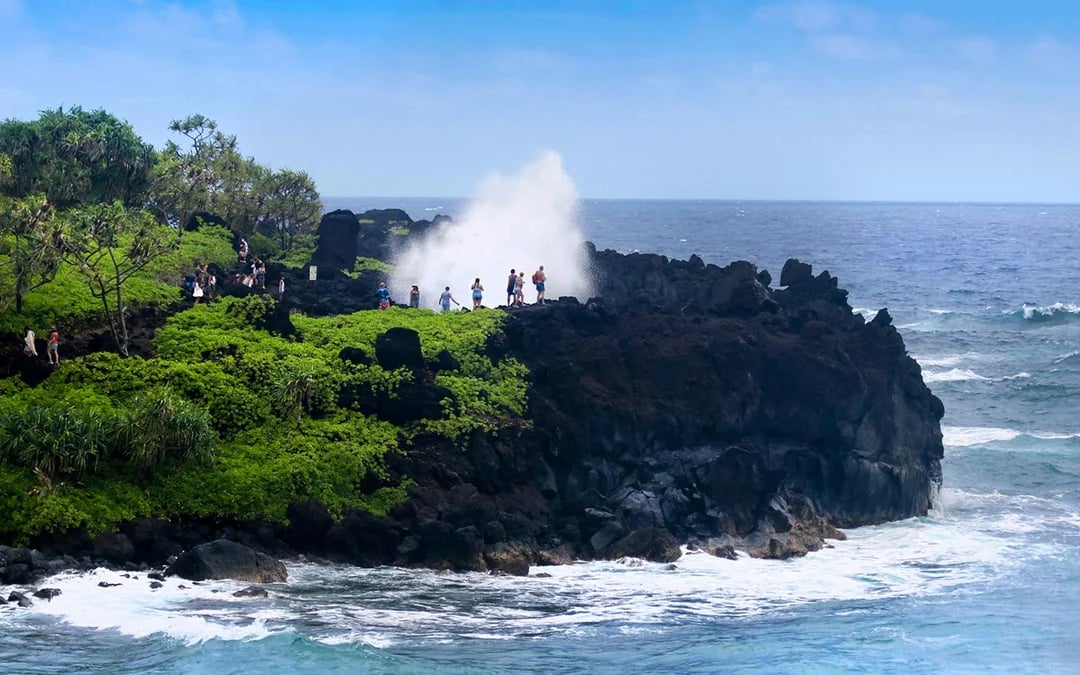 Road to Hana Tour with Farm-to-Table Lunch Image 7