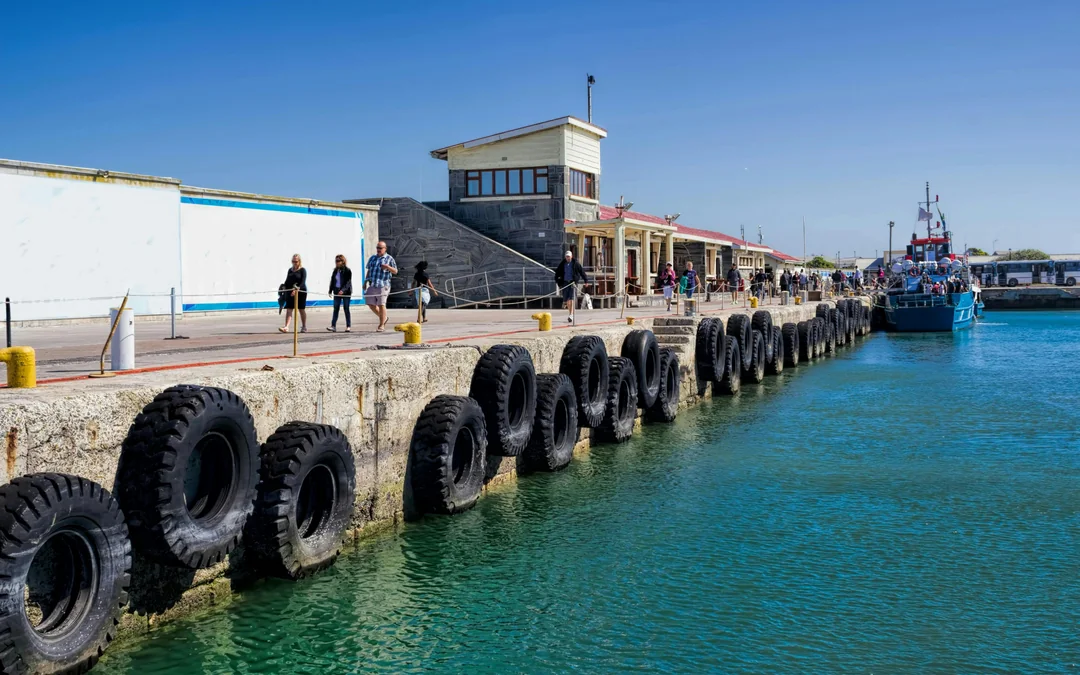 Robben Island Full-Day Guided Private Tour with Museum Entry & Long March to Freedom Exhibition Image 12