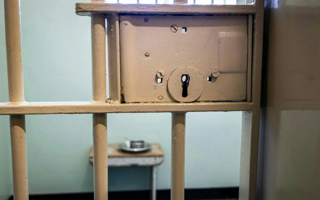 Robben Island Full-Day Guided Private Tour with Museum Entry & Long March to Freedom Exhibition Image 3
