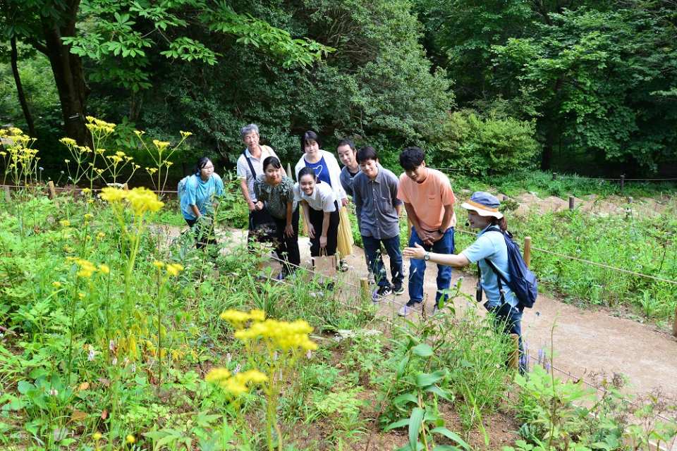 [Instant Reservation Confirmation] Rokko Alpine Botanical Garden | Hyogo, Kobe