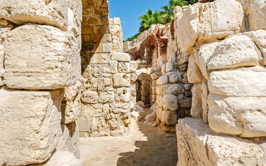 Roman Amphitheatre in Kom El-Deka Skip-the-Line Tickets Image 3