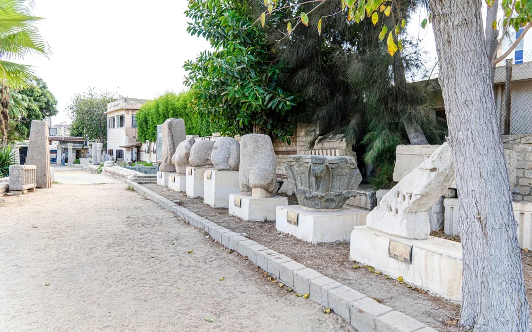 Roman Amphitheatre in Kom El-Deka Skip-the-Line Tickets Image 5