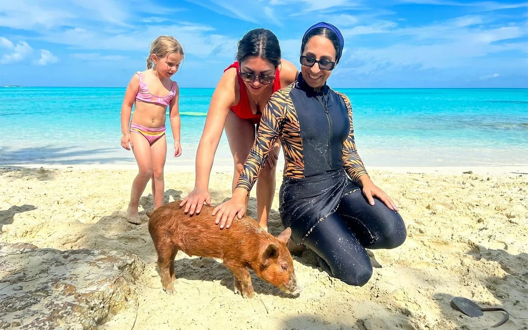 Rose Island: Premium Beach Club, Swim with Pigs Half Day Trip with Snorkelling Image 3