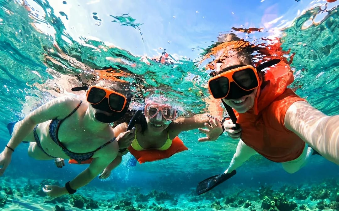 Rose Island: Premium Beach Club, Swim with Pigs Half Day Trip with Snorkelling Image 5