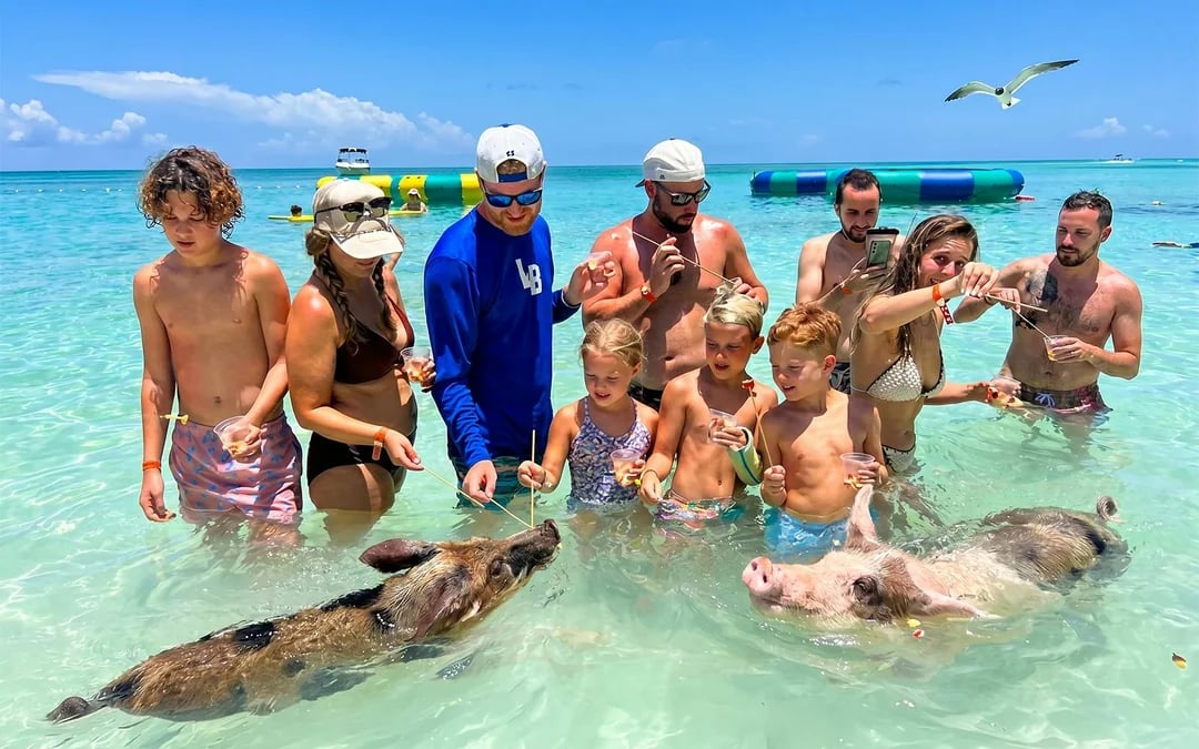 Rose Island: Premium Beach Club, Swim with Pigs Half Day Trip with Snorkelling Image 9