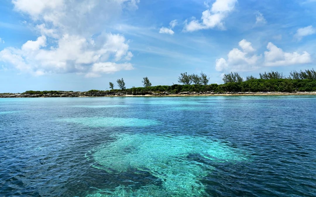 Rose Island: Swim with Pigs Half-Day Trip with Snorkeling at Green Cay Image 5