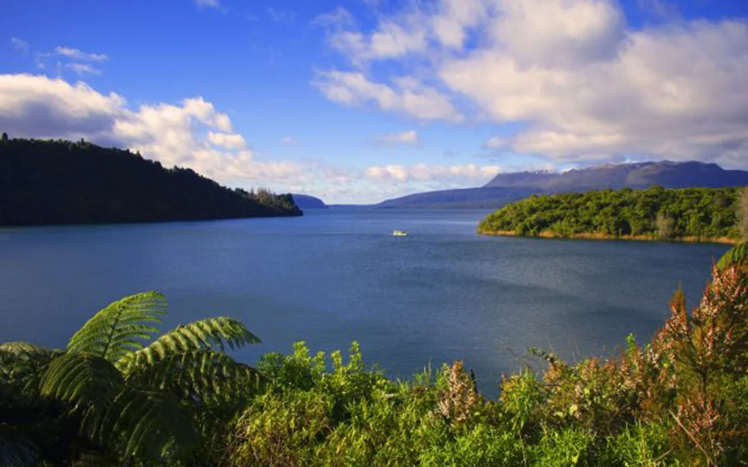 Rotorua City & Lakes Tour
Image 2