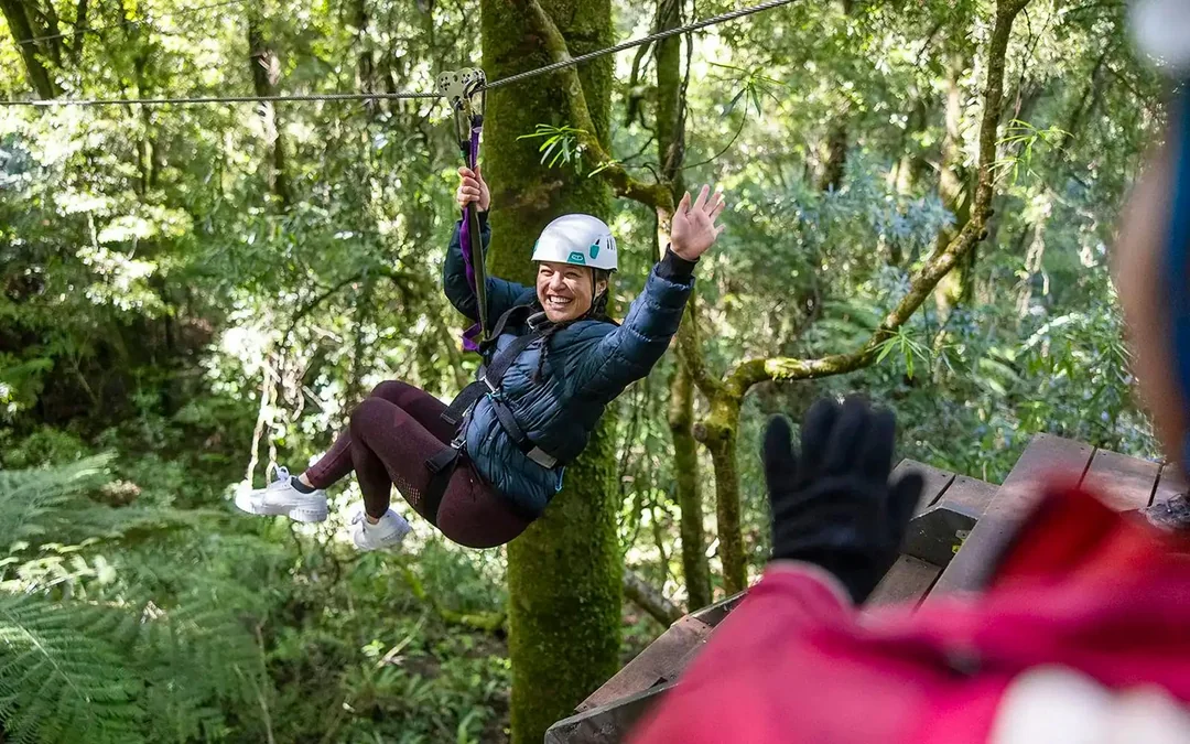 Rotorua Forest Zipline Experience Image 3