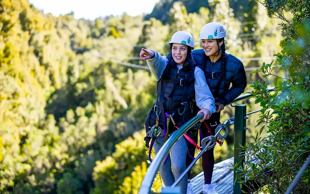 Rotorua Forest Zipline Experience Image 5