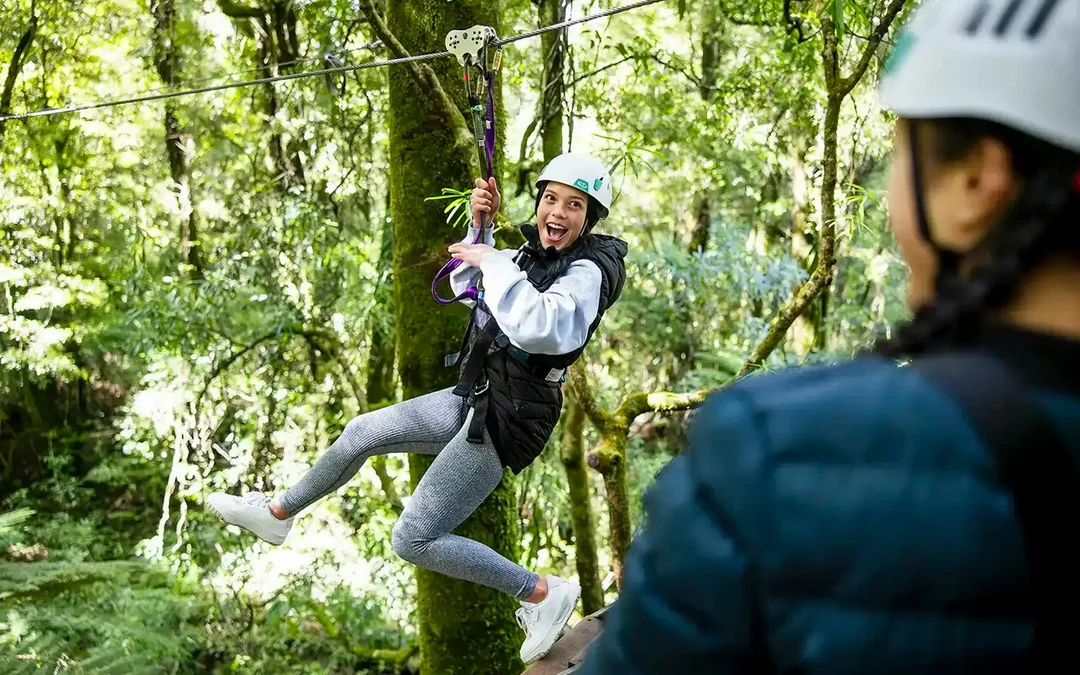 Rotorua Forest Zipline Experience Image 10