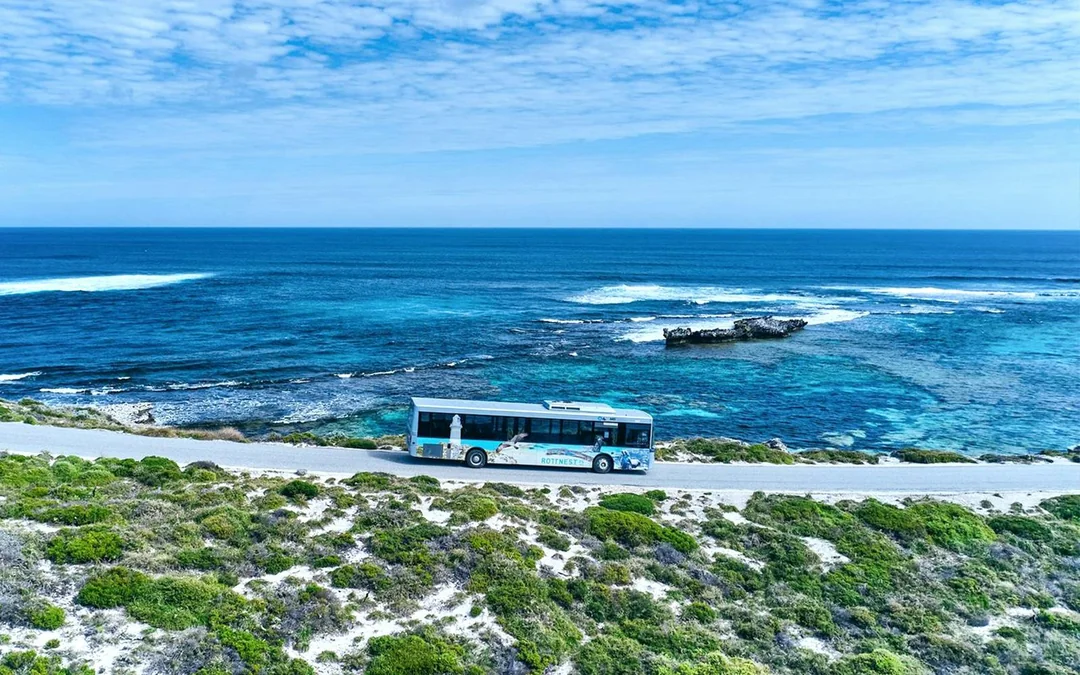 Rottnest Island Guided Bus Tour with Return Ferry Image 3