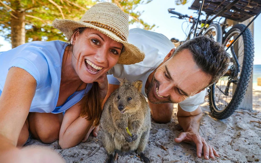 Rottnest Island Guided Bus Tour with Return Ferry Image 5