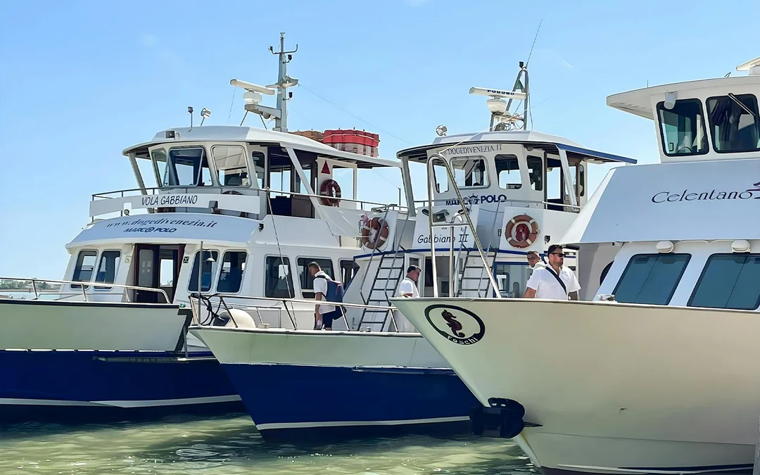 Round-Trip Boat Transfers: Punta Sabbioni to/from Venice San Marco Image 3