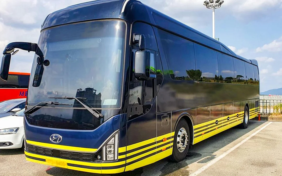 Round Trip Shuttle Bus Service to Nami Island
Image 2
