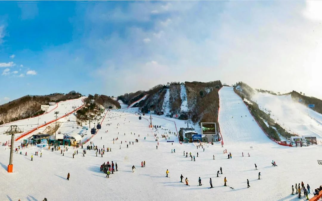 Round-Trip Shuttle Transfers from Seoul to Vivaldi Park Image 1