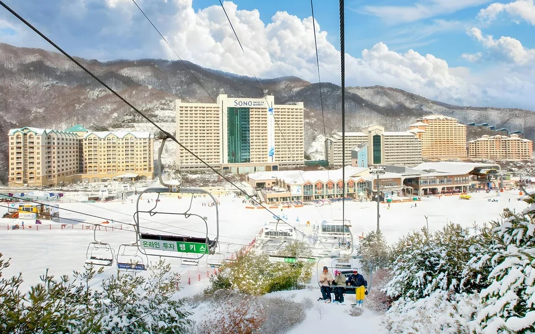 Round-Trip Shuttle Transfers from Seoul to Vivaldi Park Image 2
