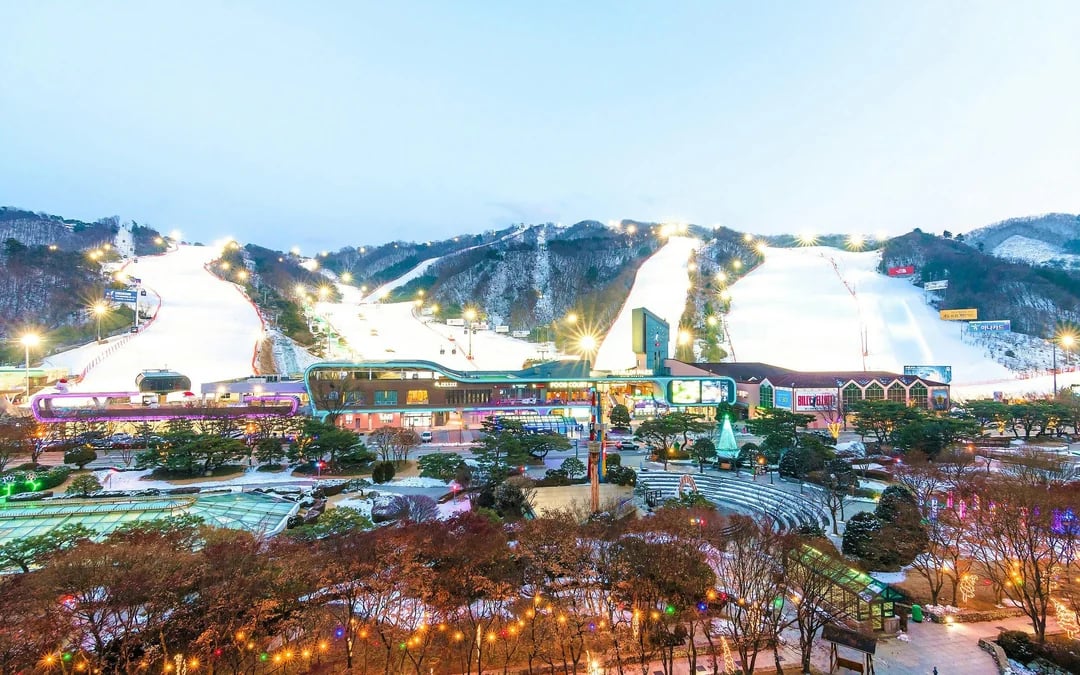 Round-Trip Shuttle Transfers from Seoul to Vivaldi Park Image 11