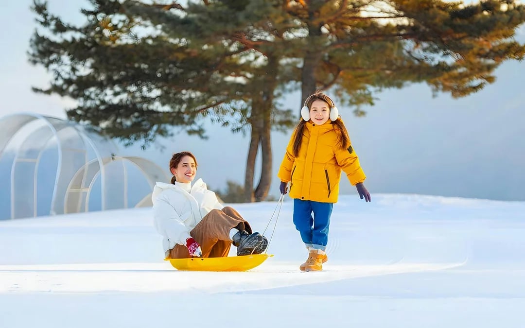 Round-Trip Shuttle Transfers from Seoul to Vivaldi Park Image 3