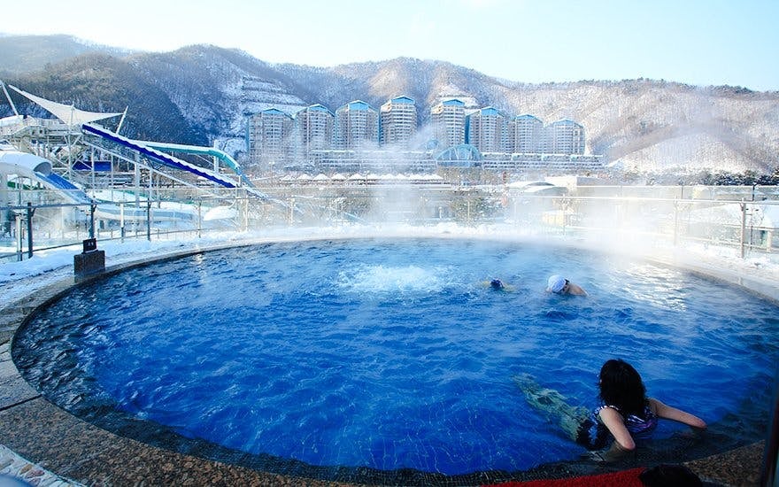 Round-Trip Shuttle Transfers from Seoul to Vivaldi Park Image 6