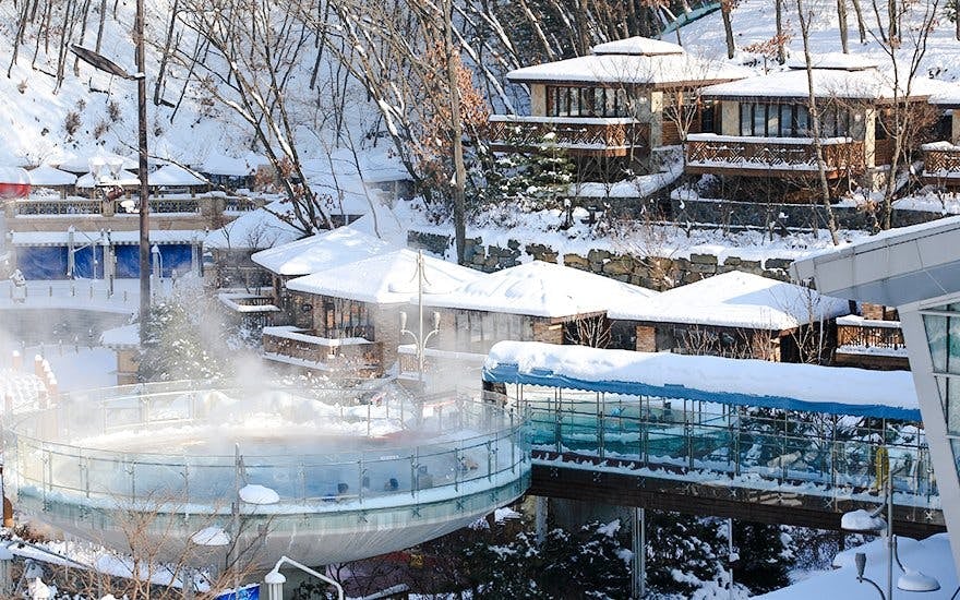 Round-Trip Shuttle Transfers from Seoul to Vivaldi Park Image 7
