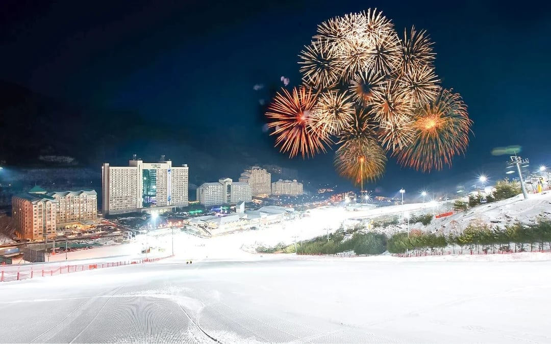 Round-Trip Shuttle Transfers from Seoul to Vivaldi Park Image 9