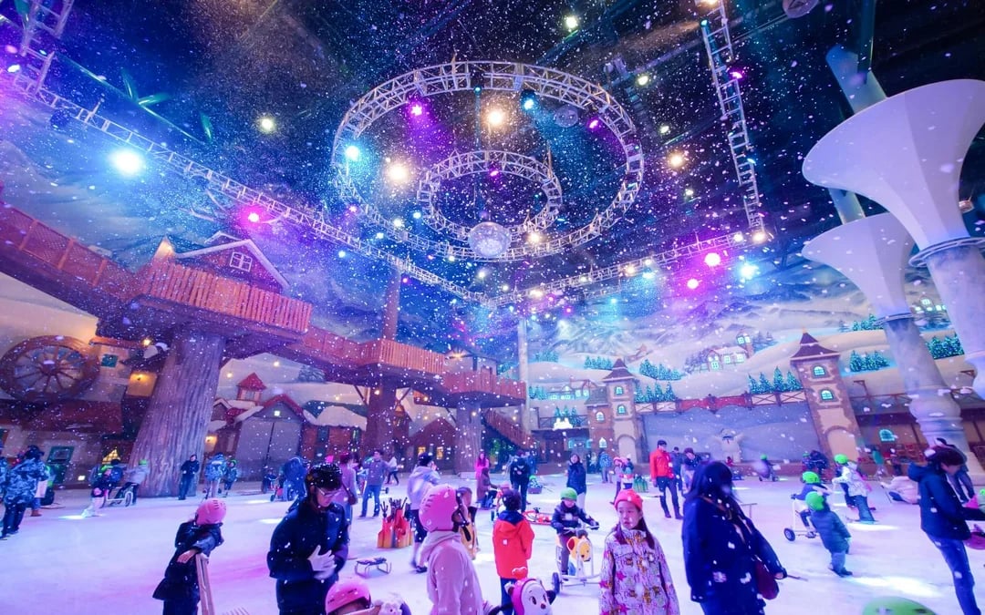 Round-Trip Shuttle Transfers from Seoul to Vivaldi Park Image 10