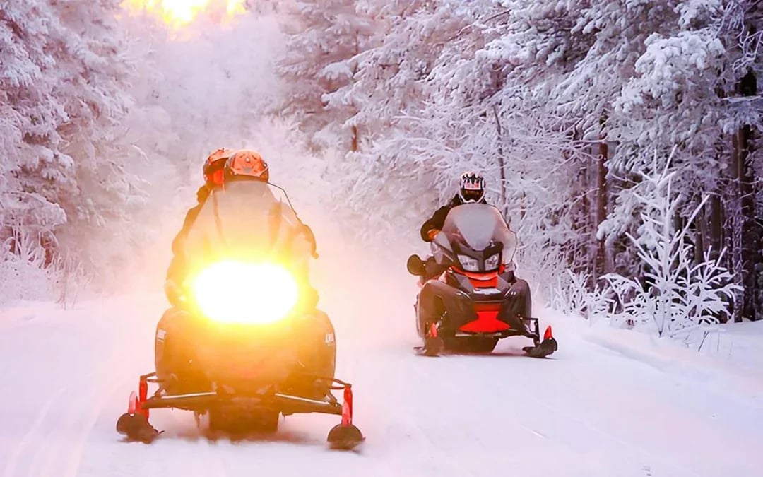 Rovaniemi: 1-Hour Snowmobile Safari Adventure Image 4