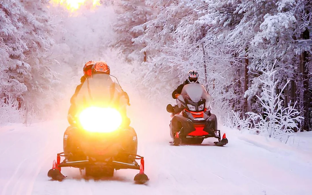 Rovaniemi: 1-Hour Snowmobile Safari Adventure Image 4