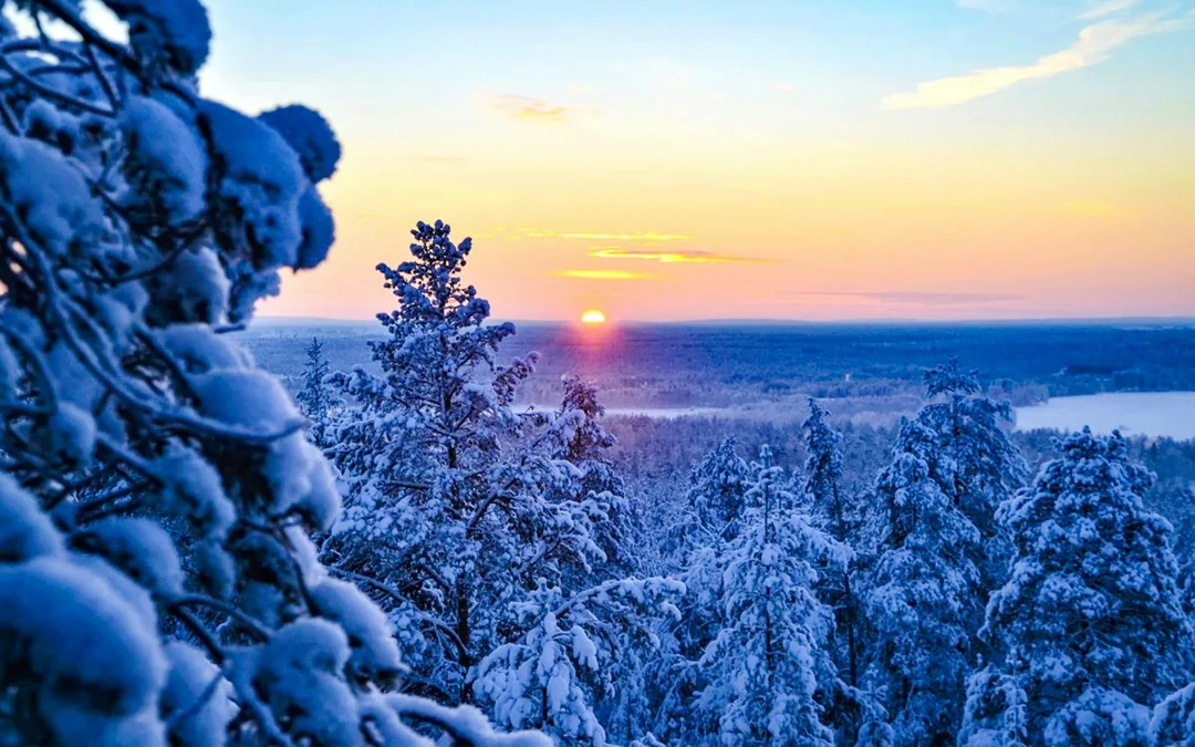 Rovaniemi: 1-Hour Snowmobile Safari Adventure Image 8