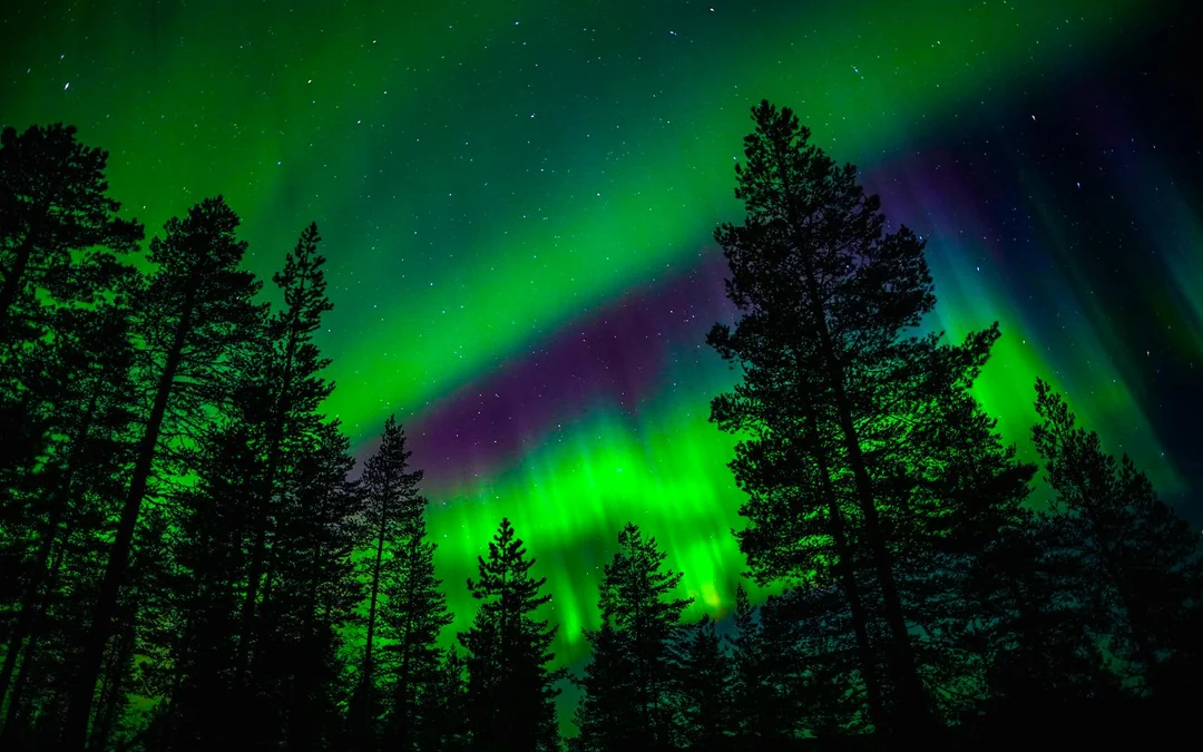 Rovaniemi: 3-Hour Northern Lights Adventure with Hotel Transfers Image 2