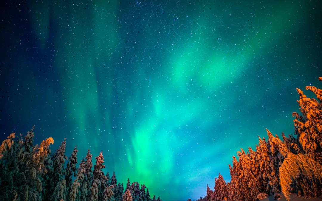 Rovaniemi: 3-Hour Northern Lights Adventure with Hotel Transfers Image 12