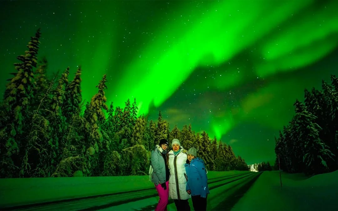 Rovaniemi: 3-Hour Northern Lights Adventure with Hotel Transfers Image 6