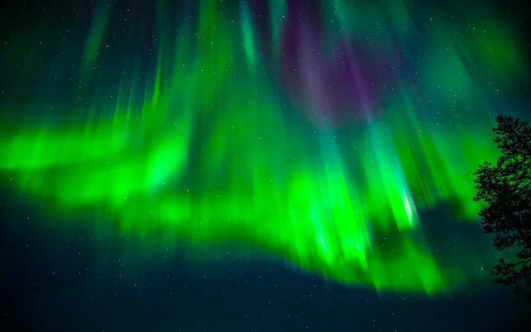 Rovaniemi: 3-Hour Northern Lights Adventure with Hotel Transfers Image 7