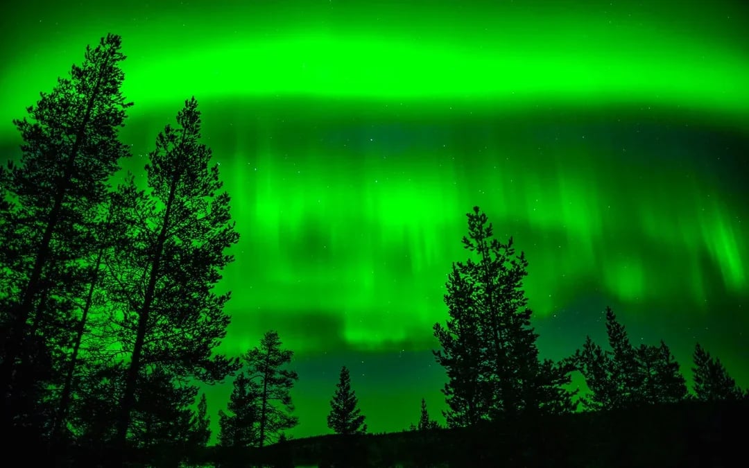 Rovaniemi: 3-Hour Northern Lights Adventure with Hotel Transfers Image 8