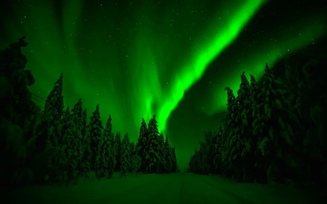 Rovaniemi: 3-Hour Northern Lights Adventure with Hotel Transfers Image 9
