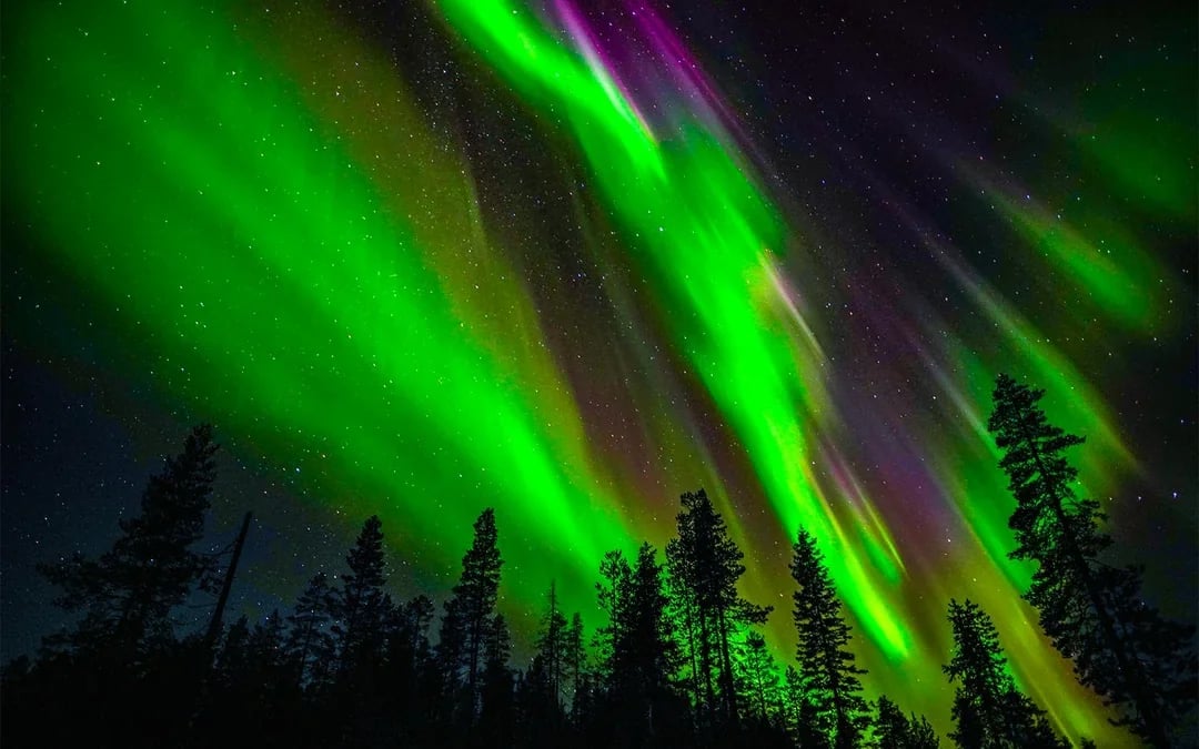 Rovaniemi: 3-Hour Northern Lights Adventure with Hotel Transfers Image 10