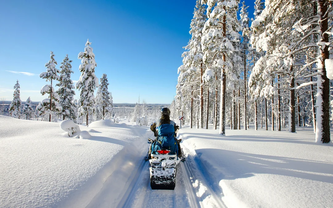 Rovaniemi: 3 hour Snowmobile Ride  Image 2
